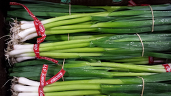 Garlic Green Bunch (LOCAL)